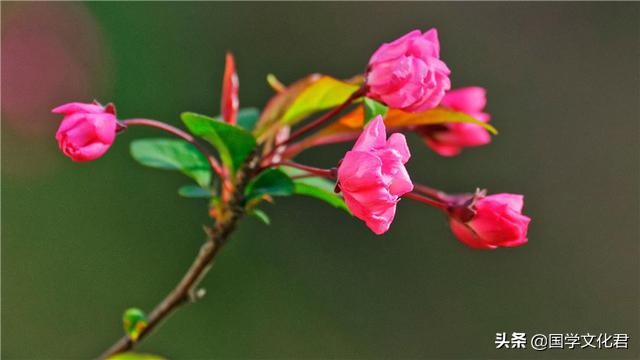 命不好是因为什么,命不好的人经常说什么话