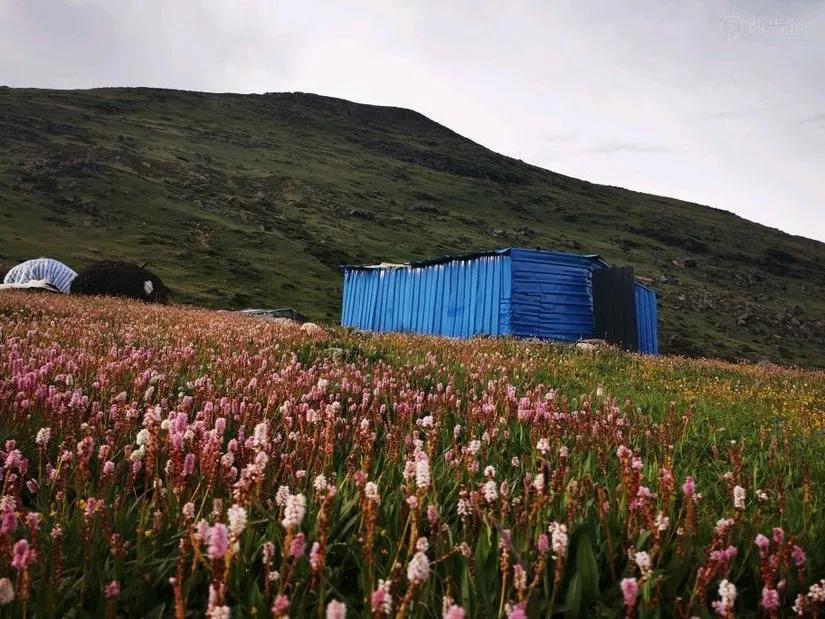 8月格聂c线,8月走格聂南线穿什么