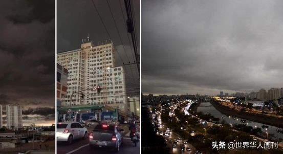 亚马逊雨林救动物,地球之肺亚马逊雨林
