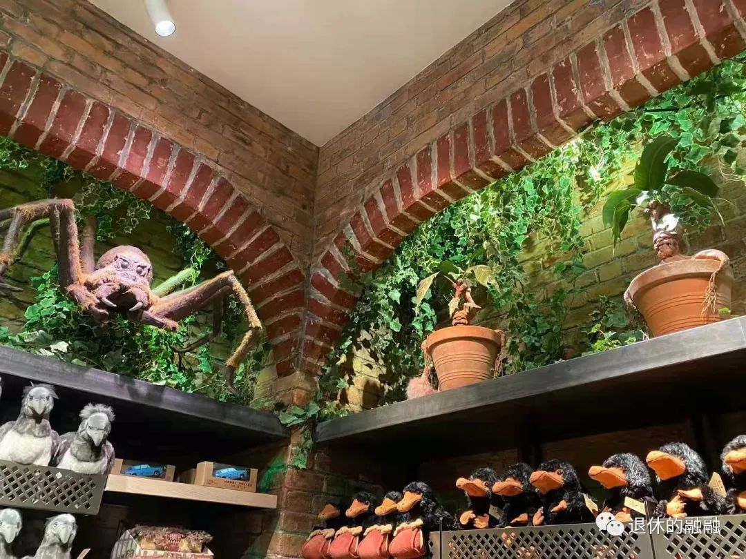 无花果成熟的标志是什么,13个月宝宝可以吃无花果吗