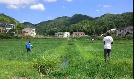 回农村发展应该做什么准备,返乡人多了农村有什么创业机会