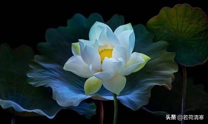 一个男人的自述：“我爱你，但不想娶你。”