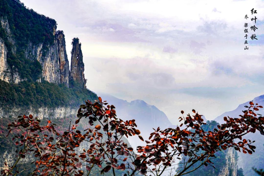 巫山红叶全攻略,巫山红叶2020