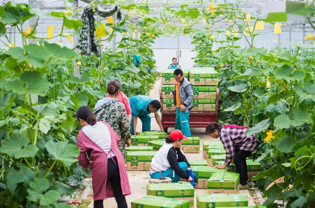 走向我们的小康生活这条路,走向我们的小康生活完整视频