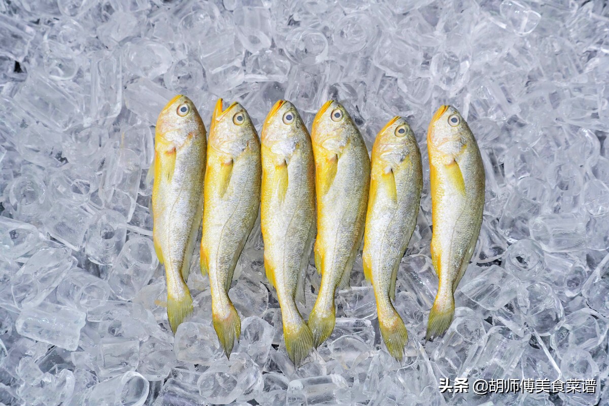 明天端午节准备吃点什么好,端午节饮食应注意什么