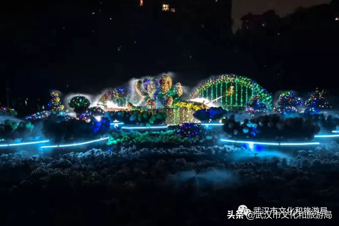 花点时间武汉东湖樱花园,武汉花点时间