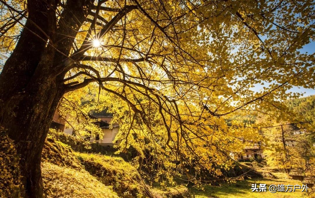 漓江兴坪古镇美景,兴坪古镇漓江游