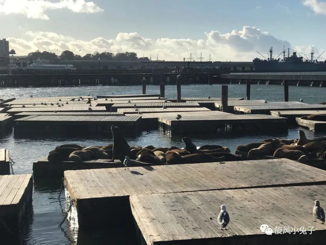 加州沿海1号公路,加州沿海一号公路一日游推荐