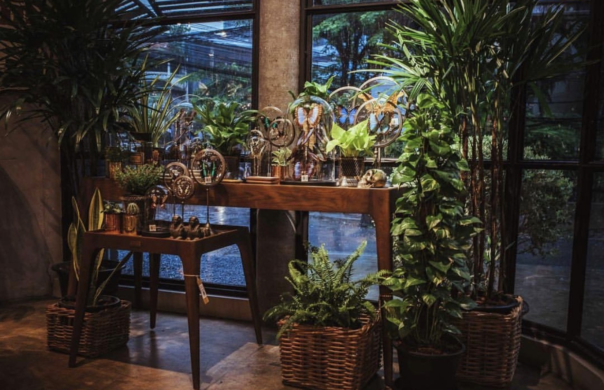 泰国曼谷超实用攻略一网打尽,超省钱的曼谷自助游旅游攻略来啦