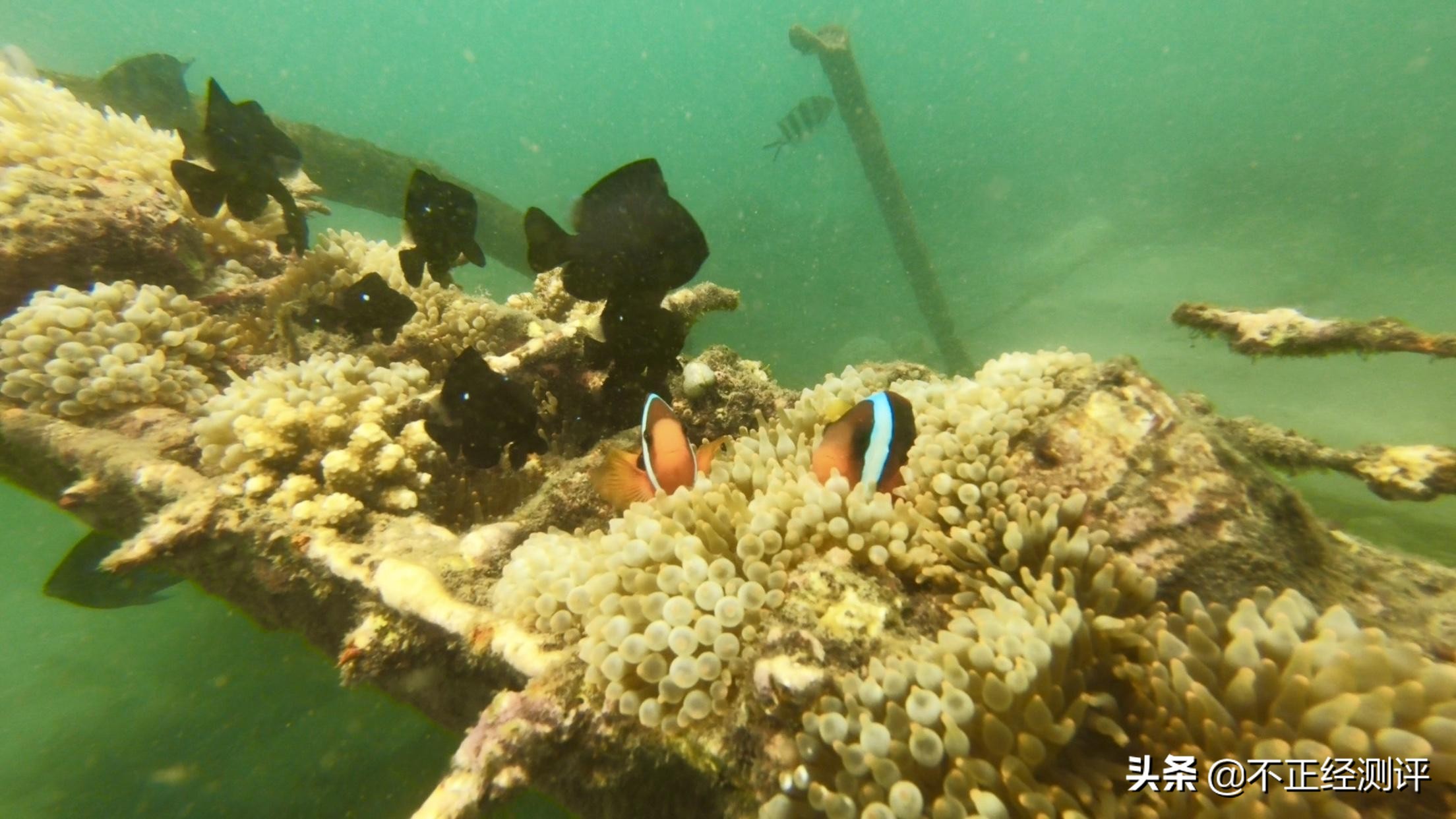 巴厘岛旅行2天,巴厘岛旅行第二天视频