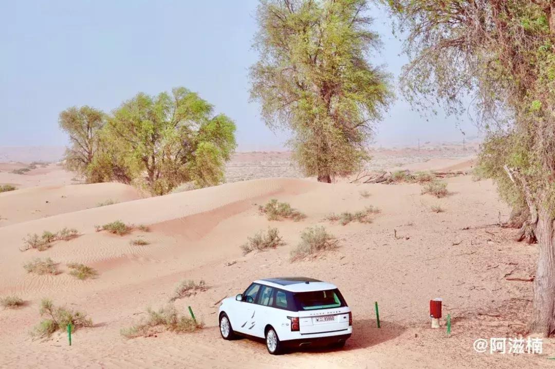 迪拜跳伞攻略图,迪拜高空跳伞攻略