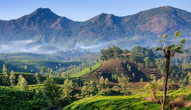 中国和印度崛起相比谁更有优势 (中国崛起对印度好处)