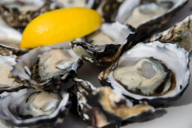 塔斯马尼亚世界的尽头,塔斯马尼亚旅游世界的尽头