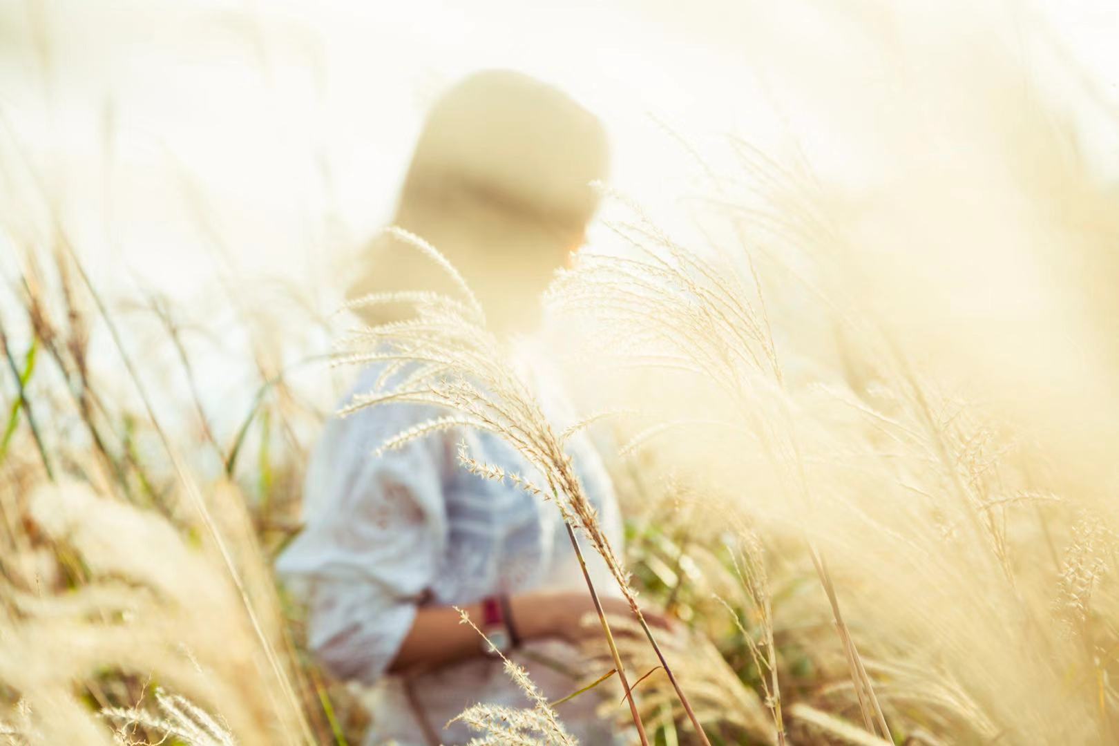 女生工作赚钱了应该如何规划,女人一定要有自己的工作收入