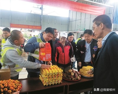 植树造林美龙城林下产业富百姓——市林业和园林局积极推进“花园城市”建设打造宜居宜业柳州侧记