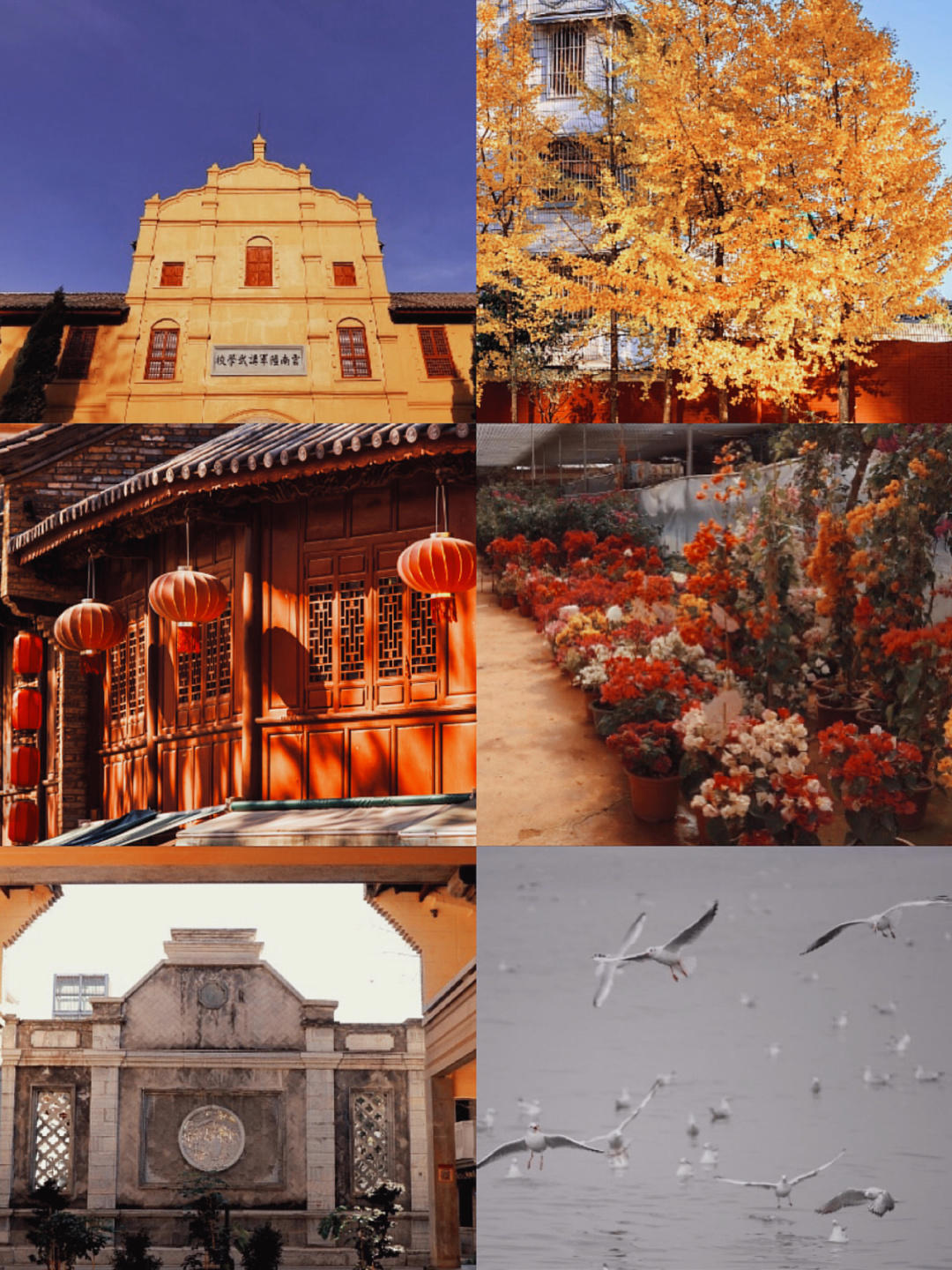 昆明旅行攻略三天三夜路线图片,昆明自由行旅游攻略三天两夜