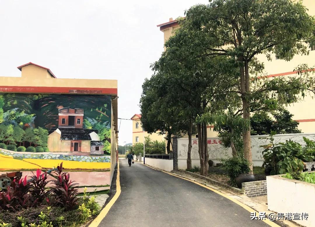 全国电视媒体走进贵港,全国百家媒体相聚巴彦淖尔