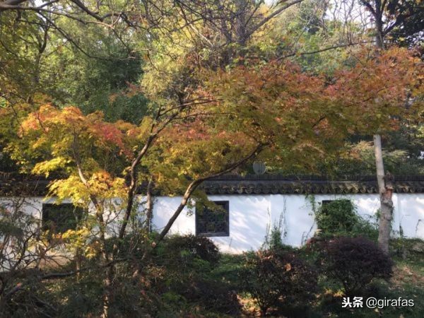 南京户外好玩的地方成人一日游,南京值得一去的3个冷门景点