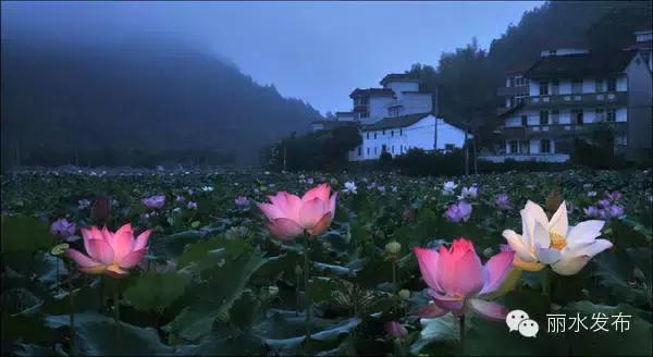 宁波到庆元高铁什么时候可以开通,宁波直达黄山的高铁何时开通