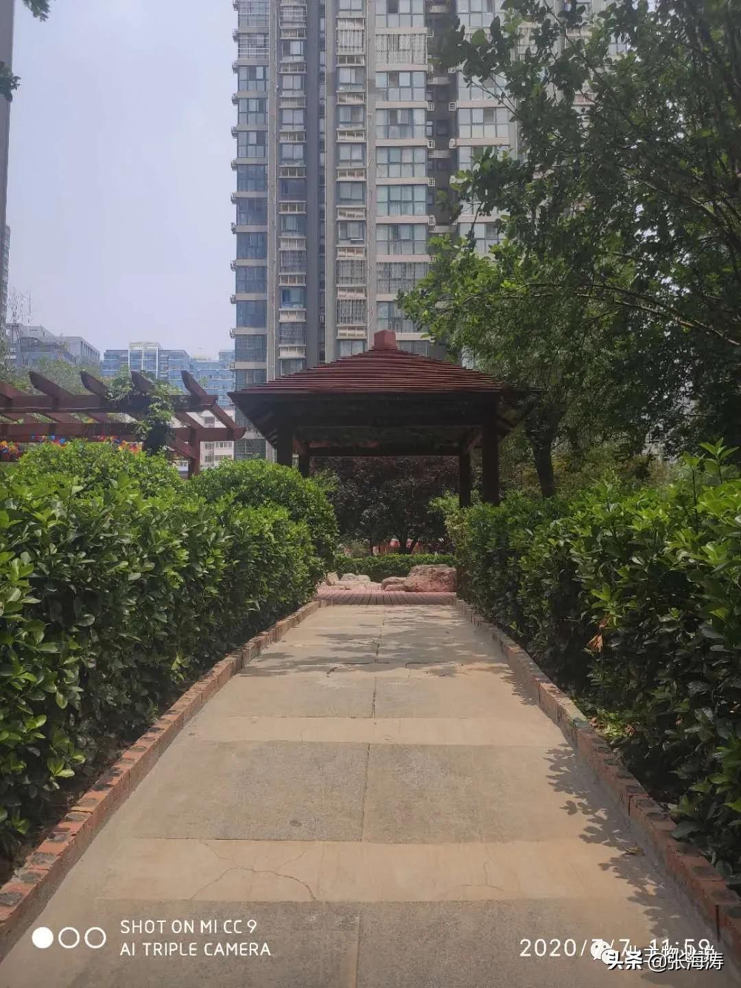 赞！旧貌换新颜，只因小区有了业主大会