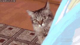 抗炎痘痘,痘痘肌抗炎产品