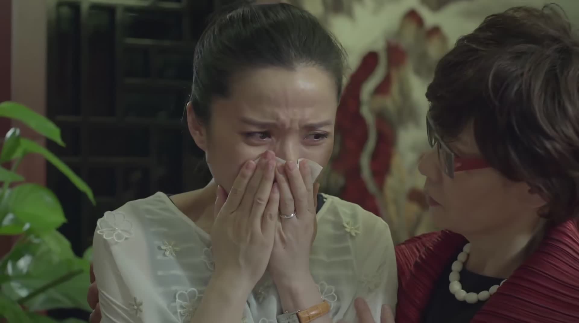 虎妈猫爸童年回忆,虎妈猫爸旧情复燃