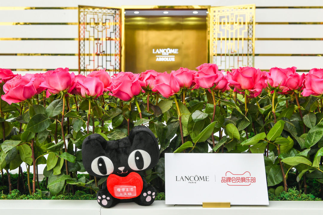 兰蔻最新的会员机制,兰蔻会员特别兑怎么开通