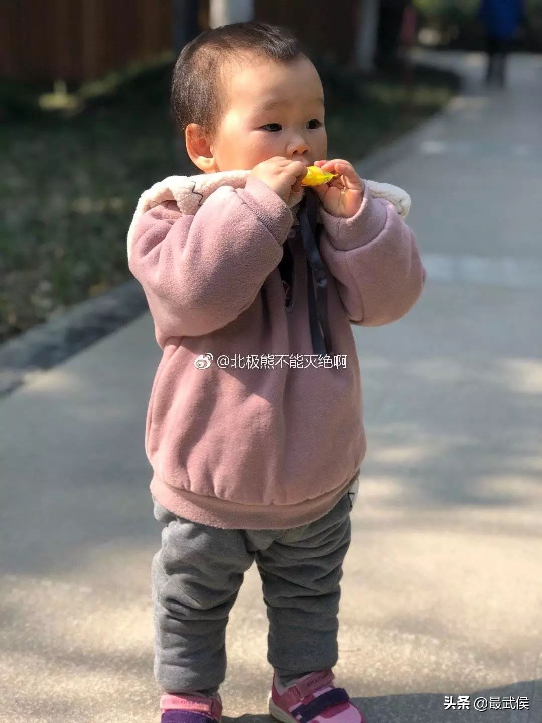 3月底天府绿道哪段最美,天府绿道彩色油菜花