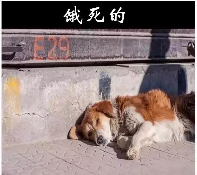 销售的最高境界掌握三大魔鬼法则,顶级销冠的6种销售话术绝招