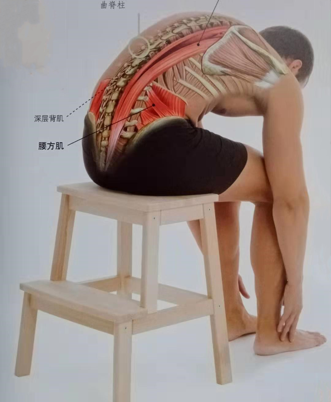 长期久坐腰部无力怎么办,久坐久躺低头玩手机做什么锻炼