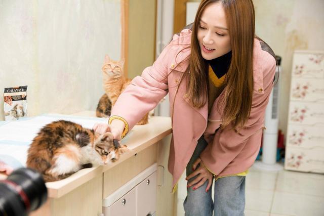 沈梦辰卖二手货靠谱吗,沈梦辰被质疑网上售假货