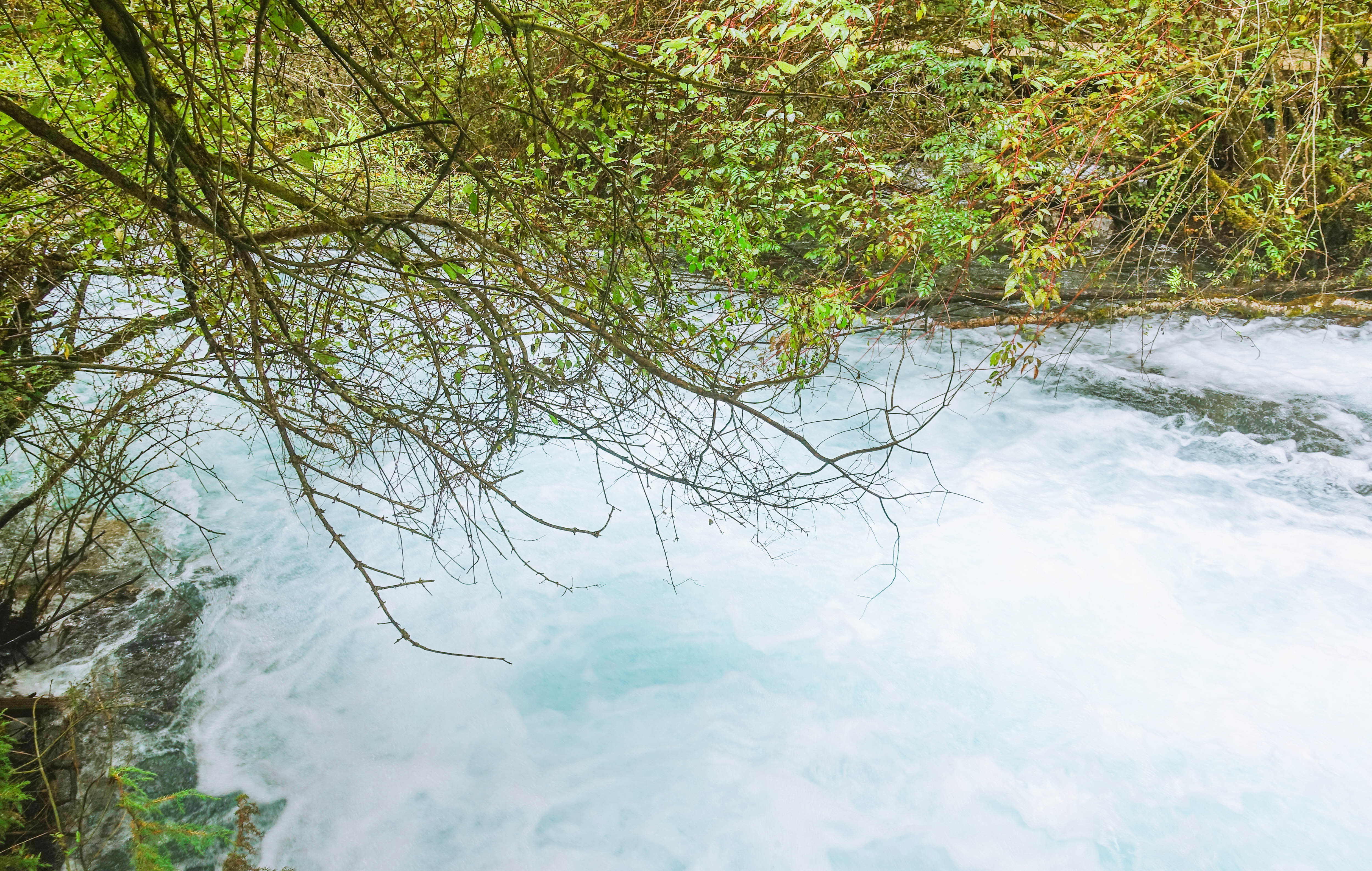 秋天九寨沟最美的季节,秋天九寨沟美景图片