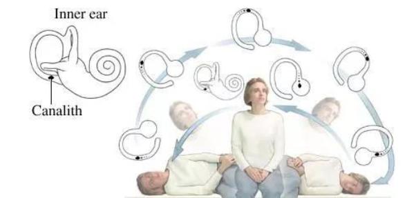 @家长们，神兽上网课头晕？带个“眼镜”辨真伪！