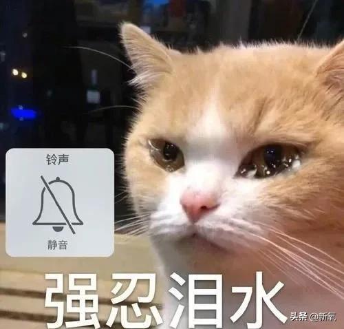 3分钱卫生巾,3毛钱一片的卫生巾好吗