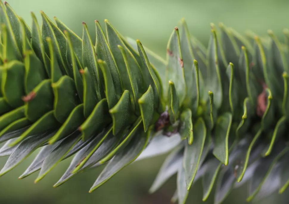 奥林巴斯e-m10markiiis缺点,奥林巴斯e-m10markiii视频如何