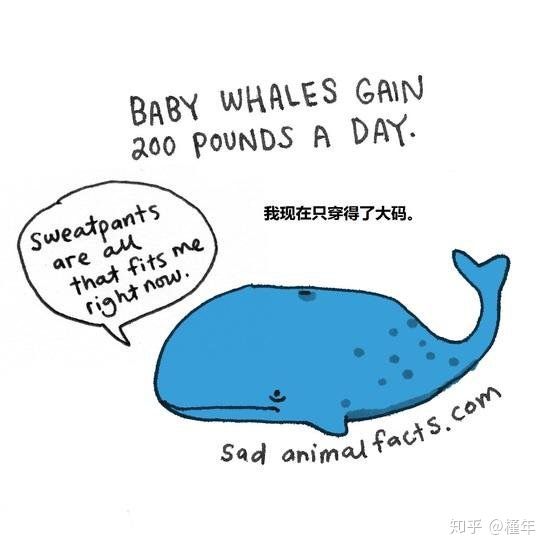 想象中不一样的动物冷知识,悲伤的动物视频