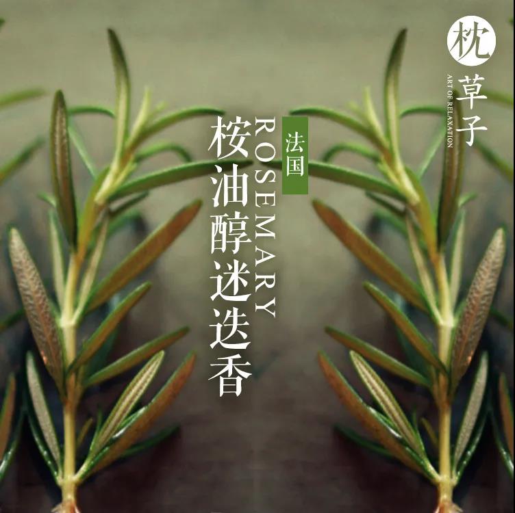 空气清新剂去除臭味,改善家中空气用空气清新剂