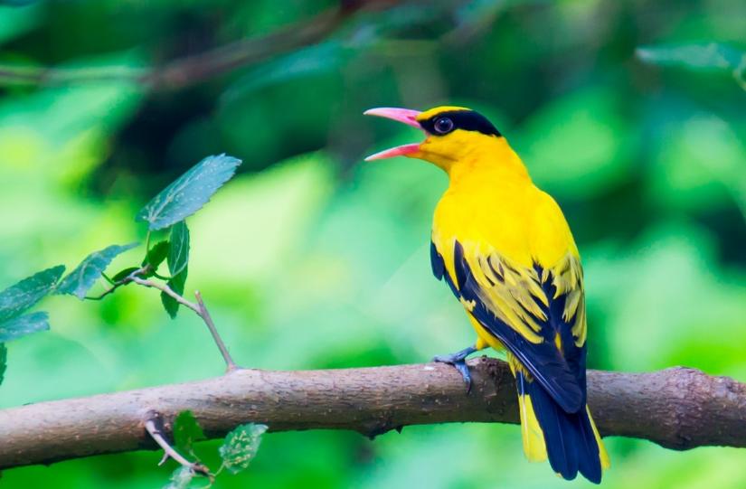 笑星车祸去世的有谁,笑星逝世