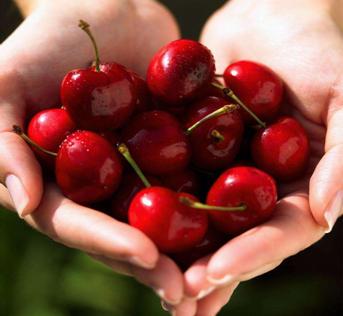 足球场上思考人生,足球励志精辟感言