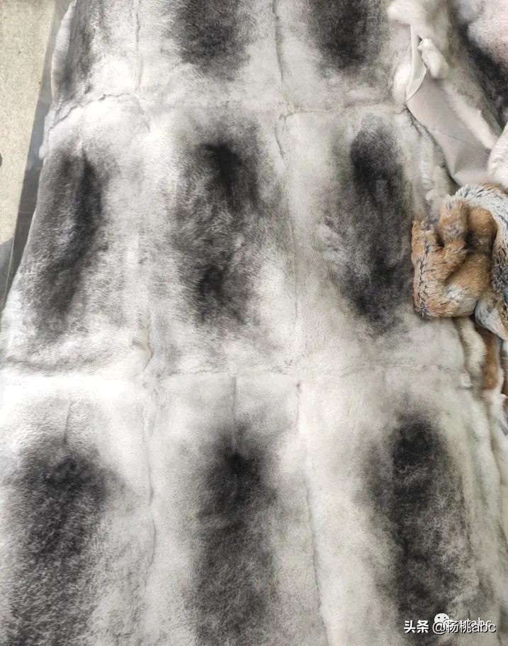 来到“顶级”毛皮一体基地，不用万把块就能拥有的皮草自由
