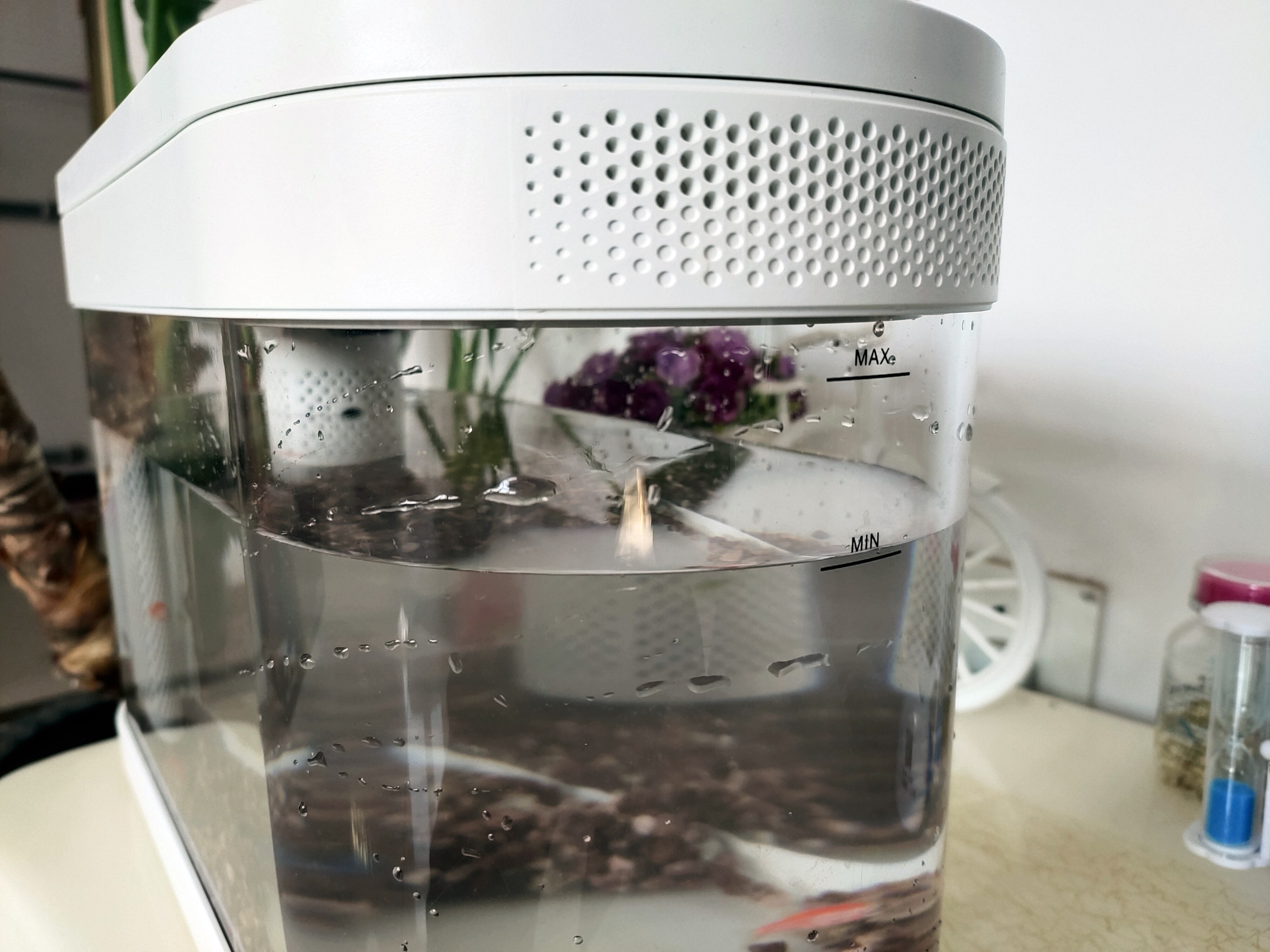 鱼缸养鱼教程图解大全,鱼缸养鱼教程入门图片