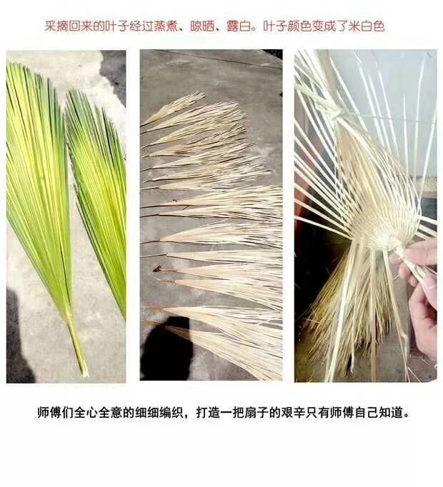 一把蒲扇轻摇旧时光,一把蒲扇朗读