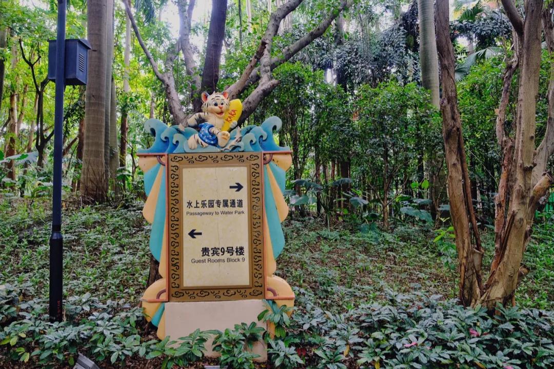 广州长隆最省钱玩法,最实惠广州长隆攻略