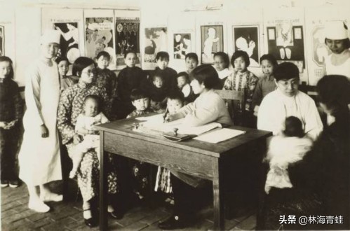 杨崇瑞,杨崇瑞教授