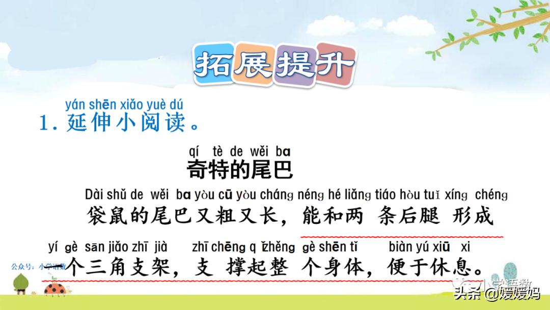 一年级小壁虎借尾巴原文图片,小壁虎借尾巴优质课一等奖