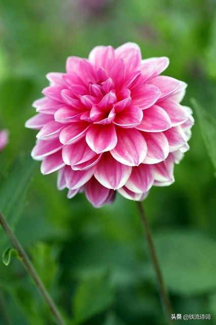 马庆武｜咏秋.七绝四首