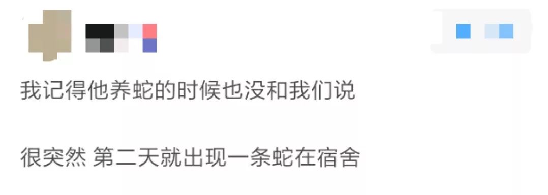 那些年舍友养过的奇葩宠物,你们身边的人都养什么奇怪的宠物