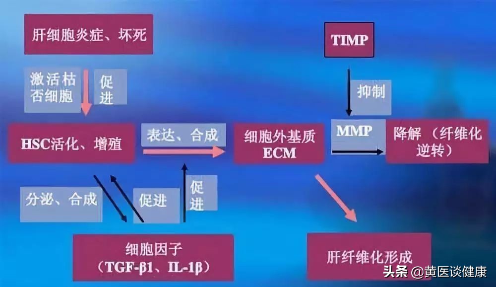 乙肝引起的肝结节需要住院治疗,肝硬化结节肝功能正常要紧吗