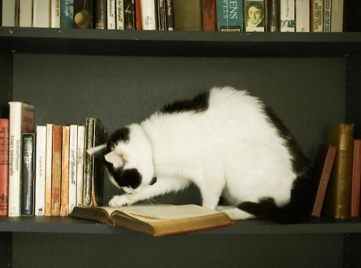 专升本数学零基础怎么复习,数学一轮复习基础差推荐什么教辅