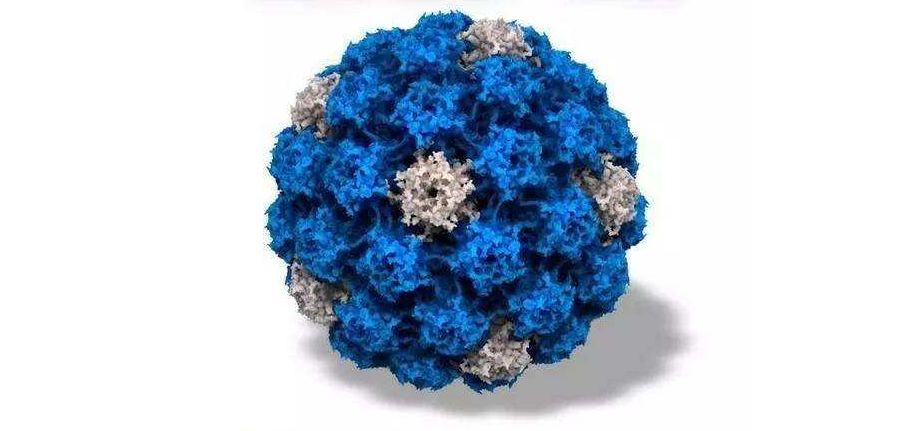 感染艾滋肛门有什么症状,艾滋病引起的肛门症状